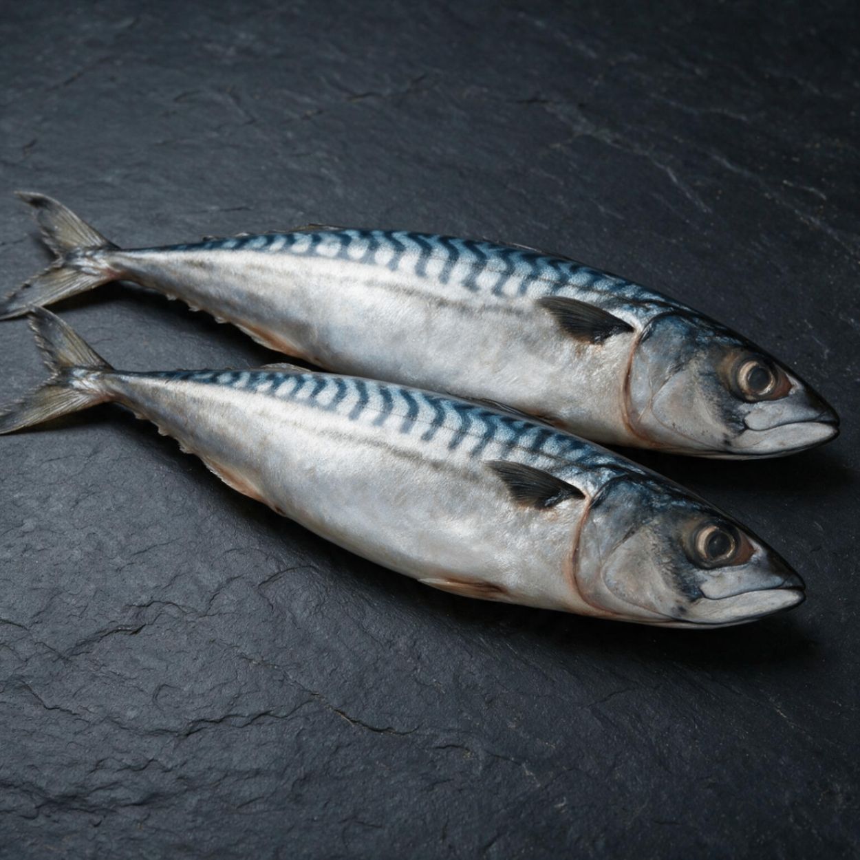Mackerel halal frozen UK supplier